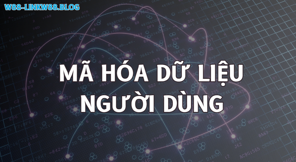 Quyền Riêng Tư W88 - Dữ Liệu Người Dùng Được Bảo Mật 2 Mã hóa dữ liệu trong quyền riêng tư w88